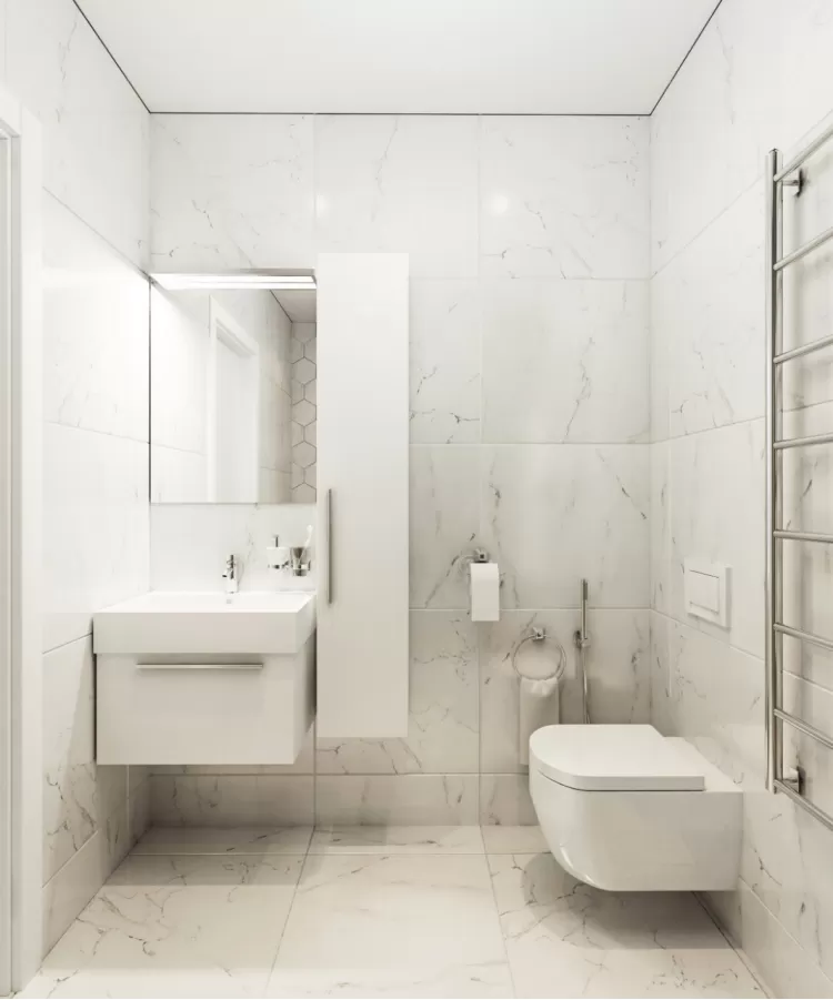 Дизайн санузла  в современном стиле