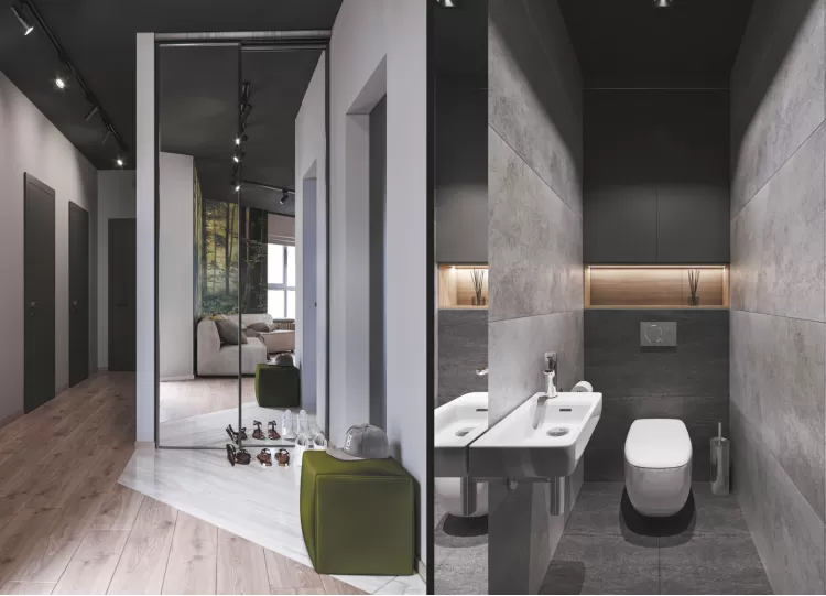 Дизайн душової кімнати та передпокою у квартирі