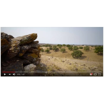 Кожаный пол Lombardia Marrone Scuro