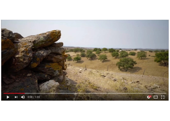  Кожаный пол Veneto Bistro  2 — купить в PORTES.UA