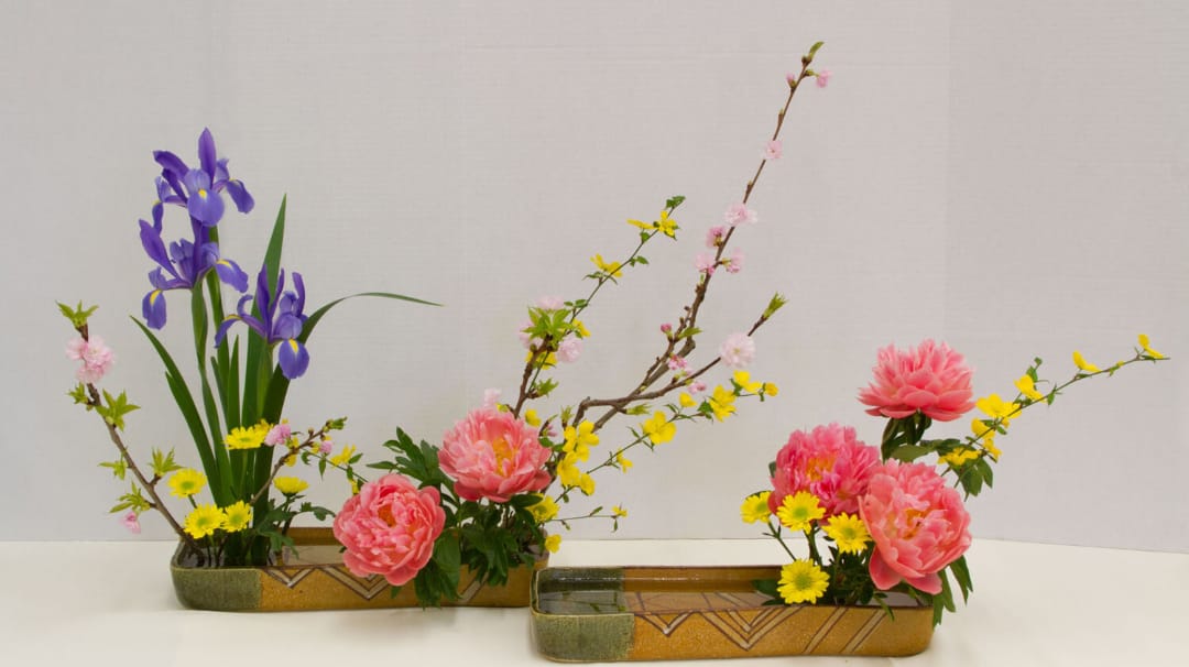 Традиційний японський ікебана квітковий аранжування з ірисами, вишневими гілками і рожевими півонії на нейтральному фоні для інтер'єру або події.
