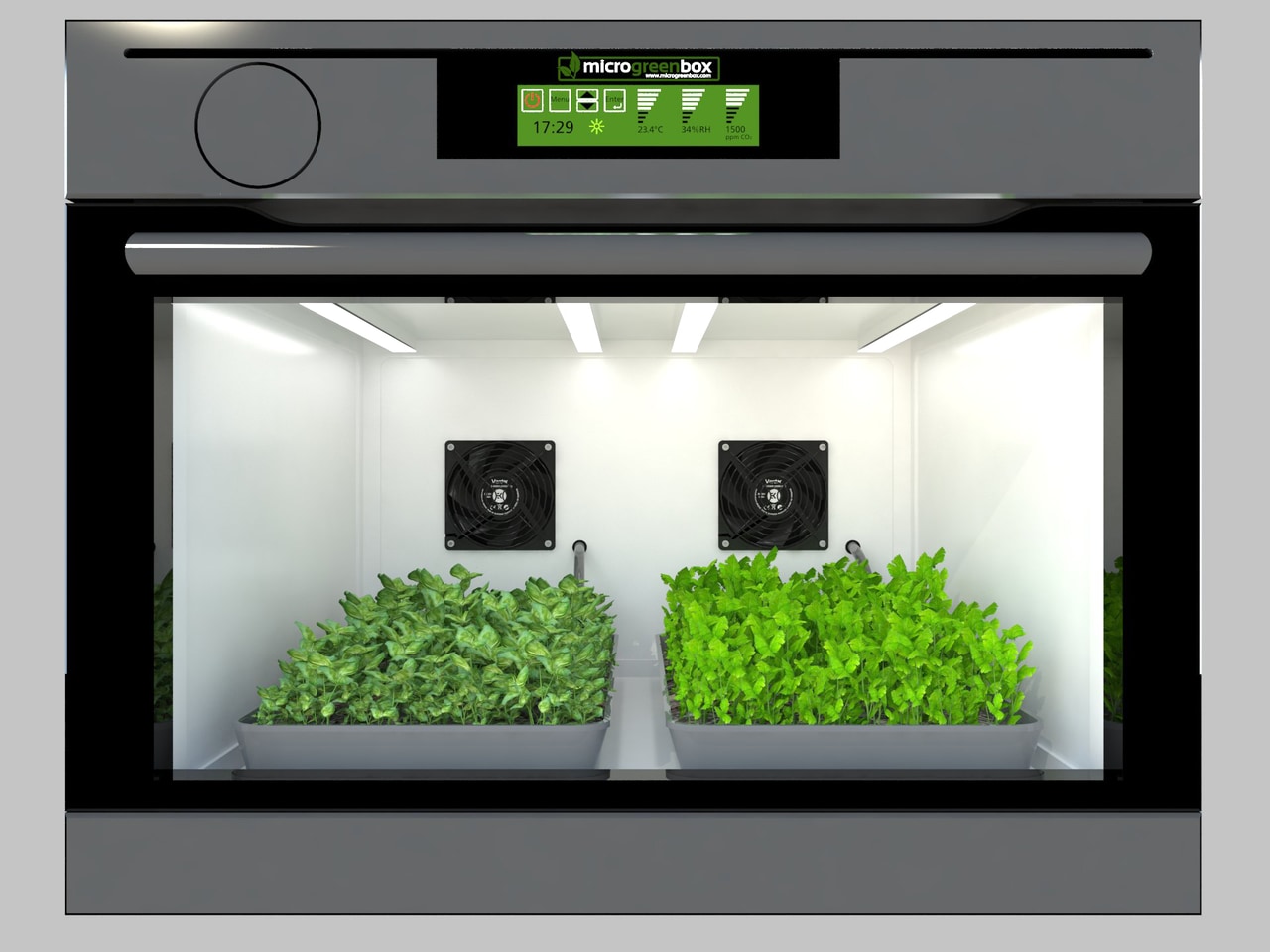 Вентиляторы для гроубокса: оптимизация роста растений в домашних условиях