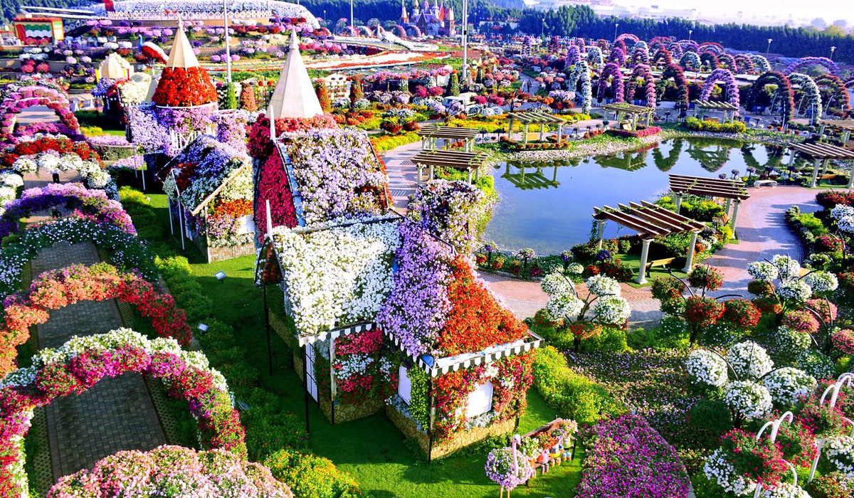 Цветочные композиции в Miracle Garden Дубай — парк с более чем 100 миллионами цветов и уникальными архитектурными инсталляциями, оформленными растениями, на фоне живописного пруда и арок, украшенных цветами.