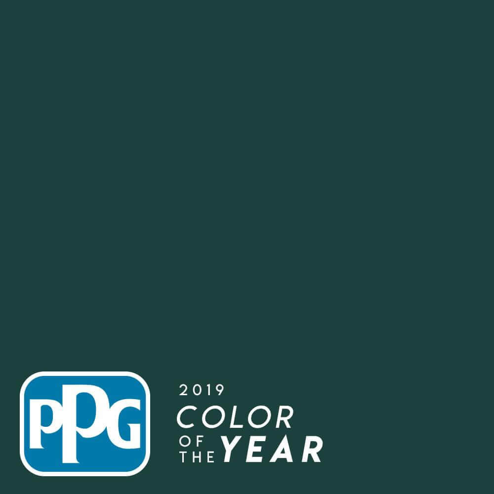 Night Watch или «Ночной дозор» был назван компанией PPG цветом 2019 года.