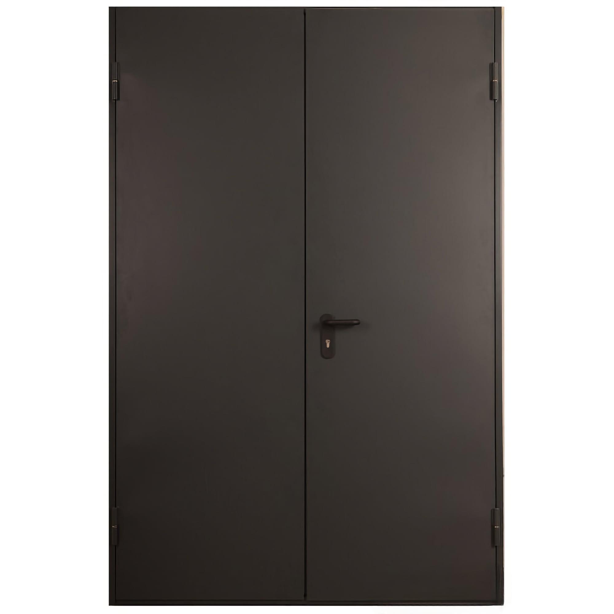 Металеві двері: вибір моделі дверей, ціна в інтернет-магазині - TD • подвійні на замовлення